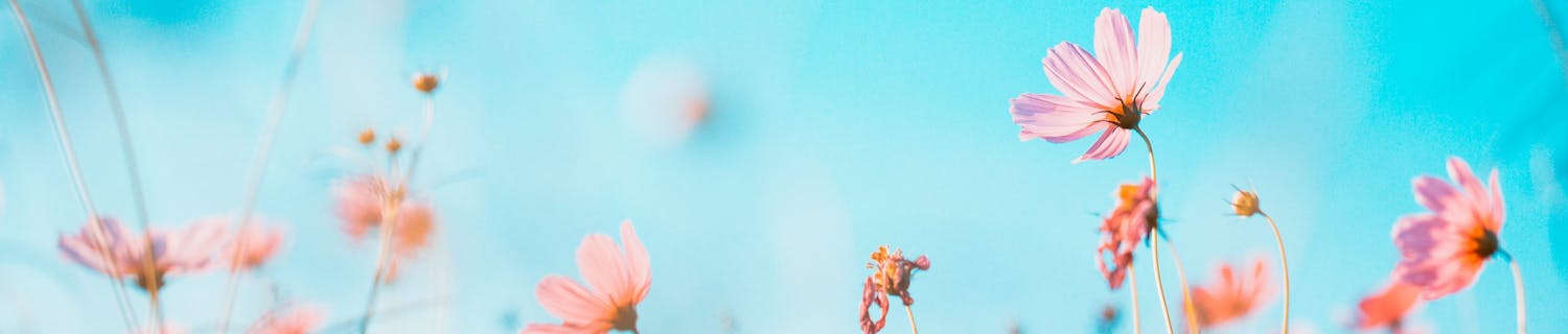 Eng med blomster
